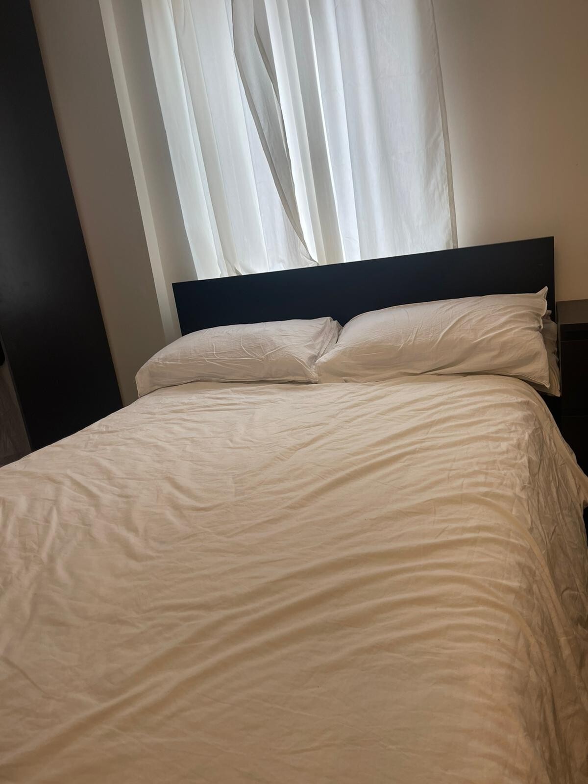 IKEA MALM Double Bed Ottoman With Storage blackbrown eBay