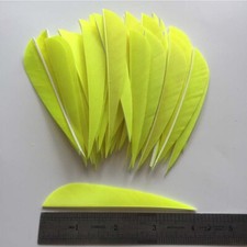 50PCS 4 inch Fluorescent yellow Parabolic Fletches Fletching Feathers RW LW