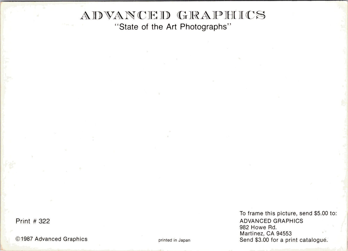 定価8800 KD KINGDOM 40 POST CARDS 定価8800 KD KINGDOM 40 POST CARDS Vector Terry Pastor 1987