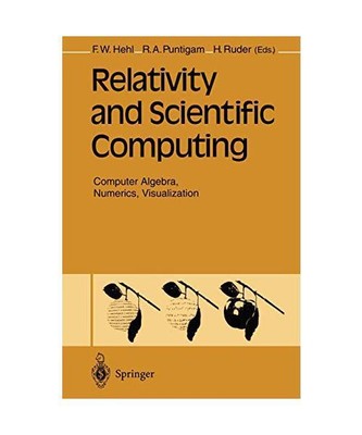 Relativity and Scientific Computing: Computer Algebra, Numerics, Visualization