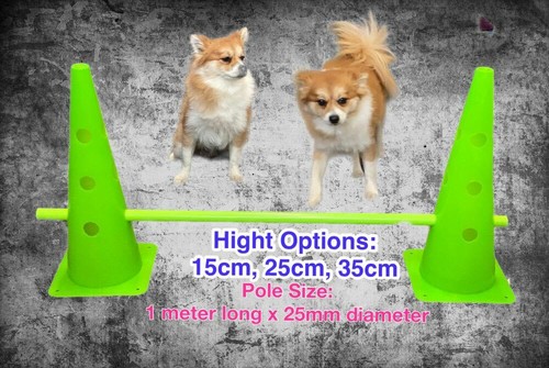 Best Dog Agility Set Jump Training Equipment Pets Jumping Hurdle Cones System