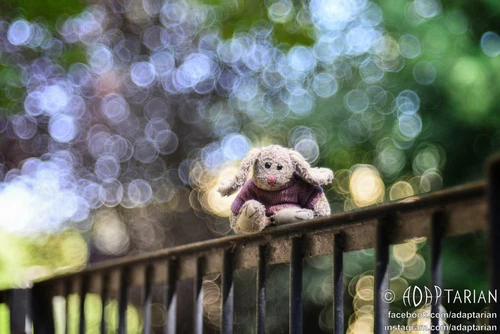 Trioplan bubbly bokeh Meyer Optik DIAPLAN 100/2.8 for Nikon F + focusing