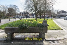 Photo 12x8 Horse Trough Planter, Winchmore Hill Green, London N21 Southgat c2014