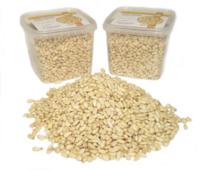 1Kg Pinienkerne Spitzenqualität GradeA  Eutrade