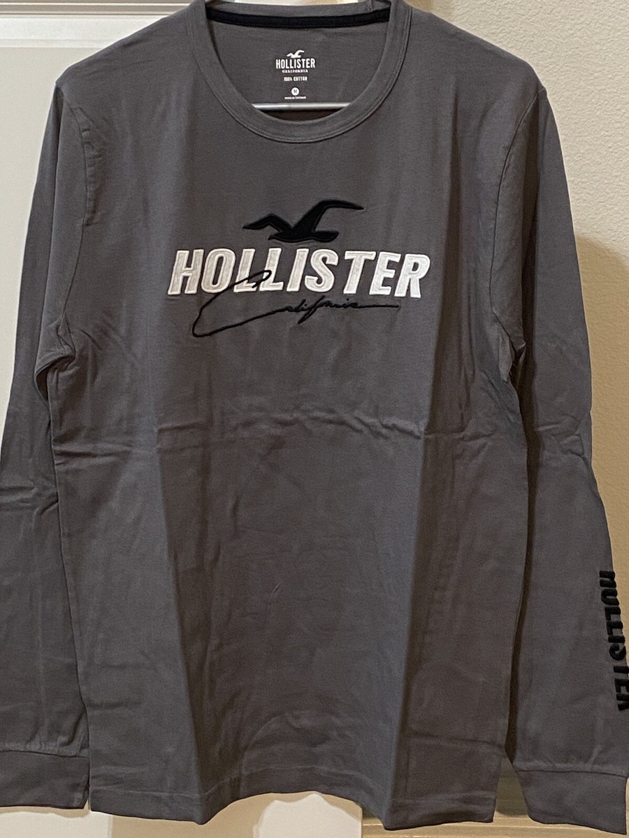 Mens Shirts Hollister Long Sleeve Graphic Tee Hollister Graphic