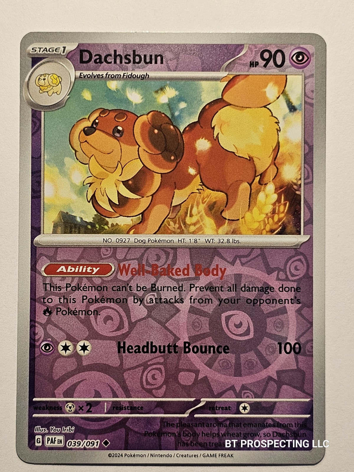 2024 Scarlet & Violet Paldean Fates Dachsbun 39/91 Reverse Holo