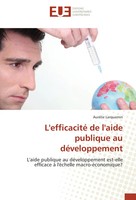 AuréLie Larquemin | L'efficacité De L'aide Publique Au DéVeloppement | Buch