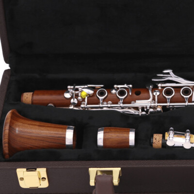 Clarinet 18 Keys popular model Rosewood Clarinet Eb 