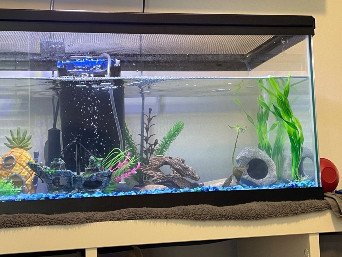 Fish tank Decor,fake plants, hides,filter