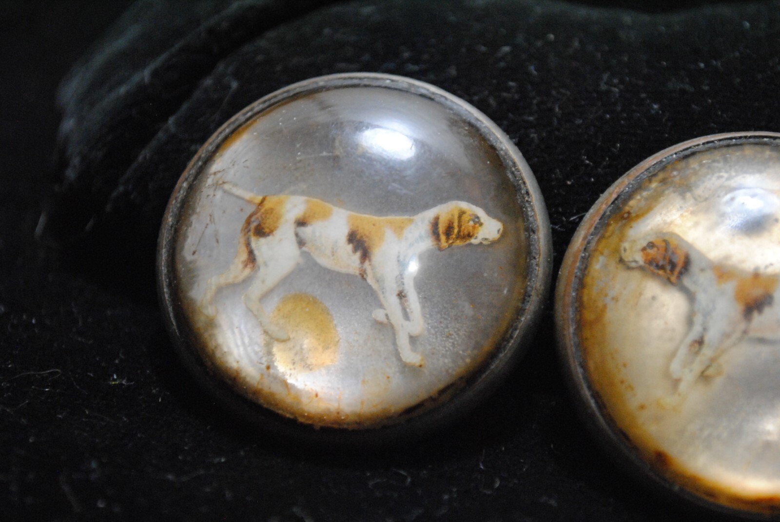 Antique Pair of Reverse Painted Hunting Dogs Glass Horse Bridle Rosettes