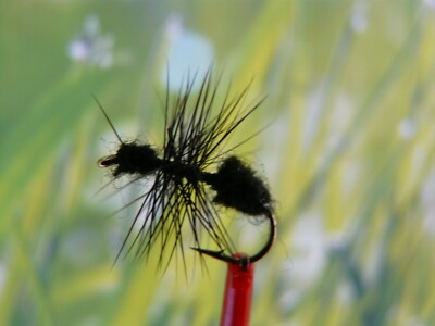 Trockenfliege '' Black Ant ''  3er Set