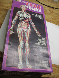 The Visible Woman | eBay