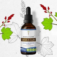 Secrets Of The Tribe Devil's Club Tincture Alcohol-FREE