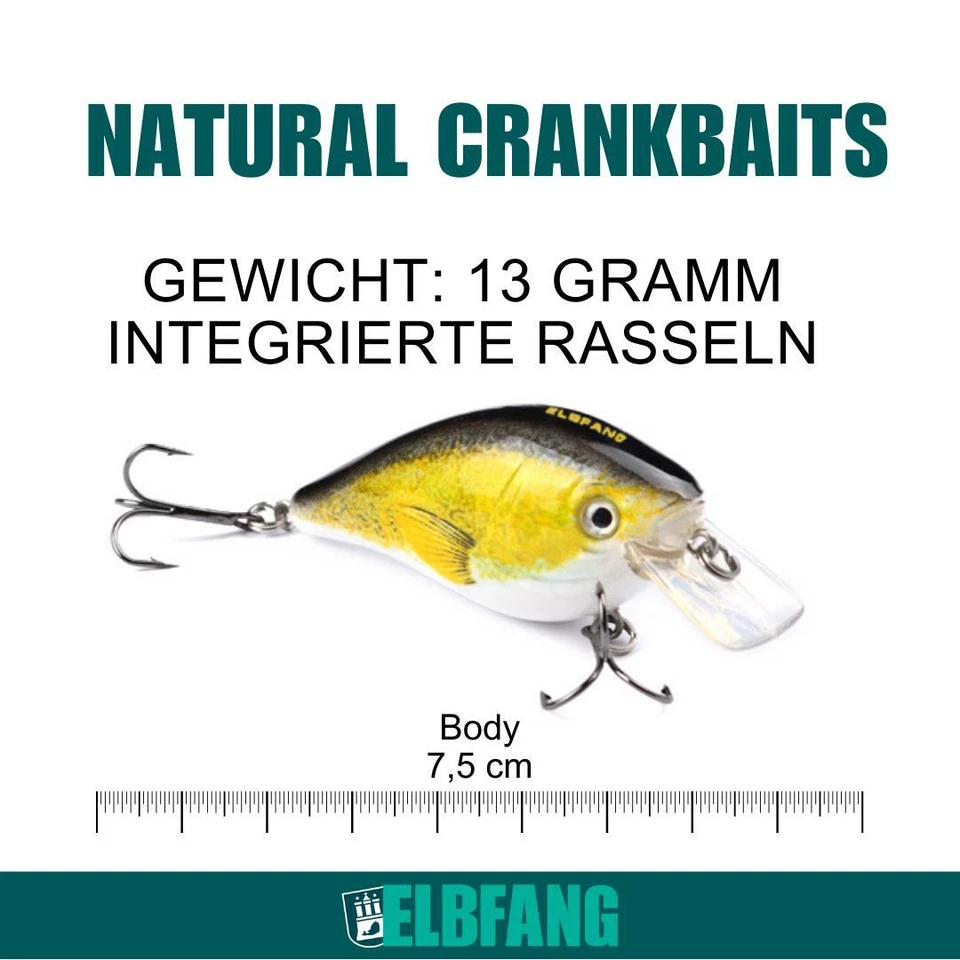 ✅ELBFANG Crankbait Wobbler Kunstköder Set zum Angeln für Hecht Barsch Forelle - Bild 4 von 4