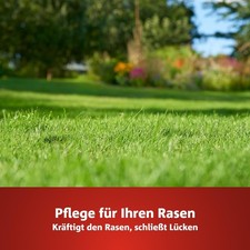 aloe vera gel krper Bio Aloe Vera Gel 2in1  Feuchtigkeit fr Haut & Haar