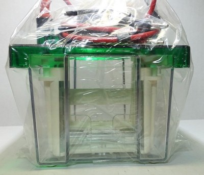 Bio-Rad Mini PROTEAN 3 SDS-PAGE Gel Electrophoresis Rig + Buffer Dam Plate; NEW