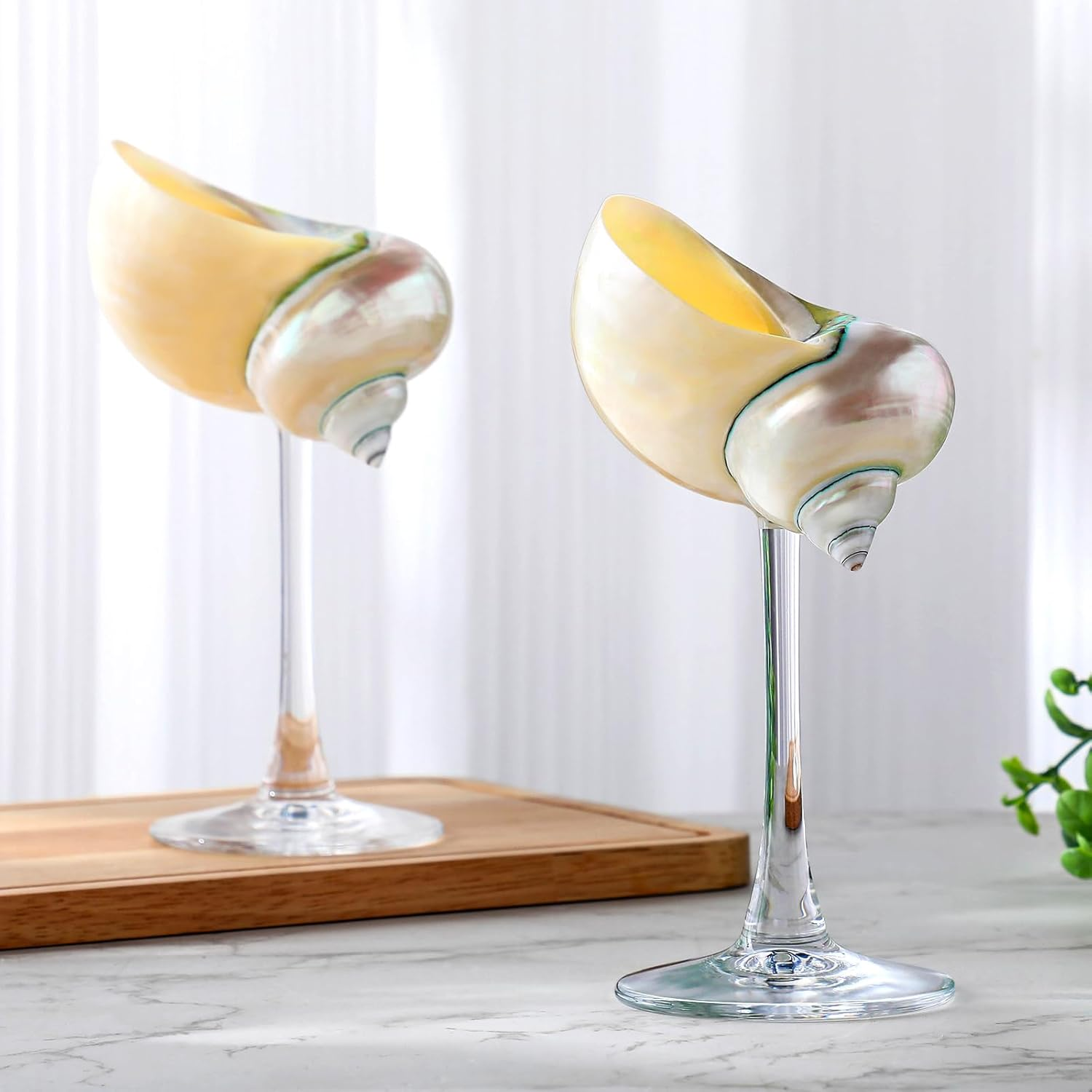 2 Pcs Conch Shell Wine Glass Wedding Wine Glasses Martini Glasses Goblet Cocktai