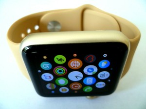 apple watch beige