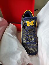 jordan 32 michigan