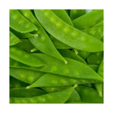 Mammoth Melting Sugar Pod Snow Pea Seeds – 1 LB (~1,800 Seeds) – Non
