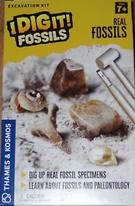 Real Fossils I Dig It! Fossils Excavation Kit Thames & Kosmos 630431 814743013209 | eBay
