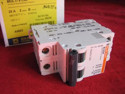 25a Square D Circuit Protector 25 Amp 2 Pole Multi 9 C60 Breaker 24135 BA - New