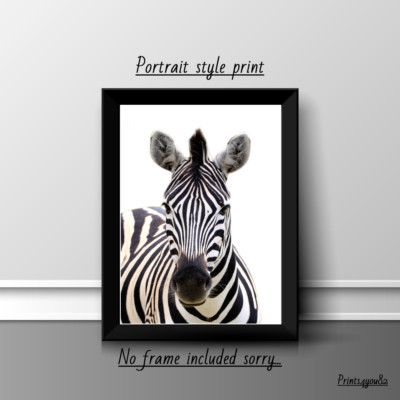 ZEBRA A4 DRUCK BILD POSTER WANDBILD WOHNDEKO UNGERAHMT NEU GESCHENK TIERE