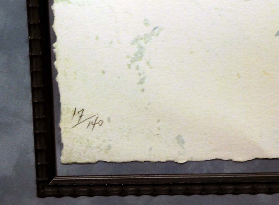 Picture 5 of 5