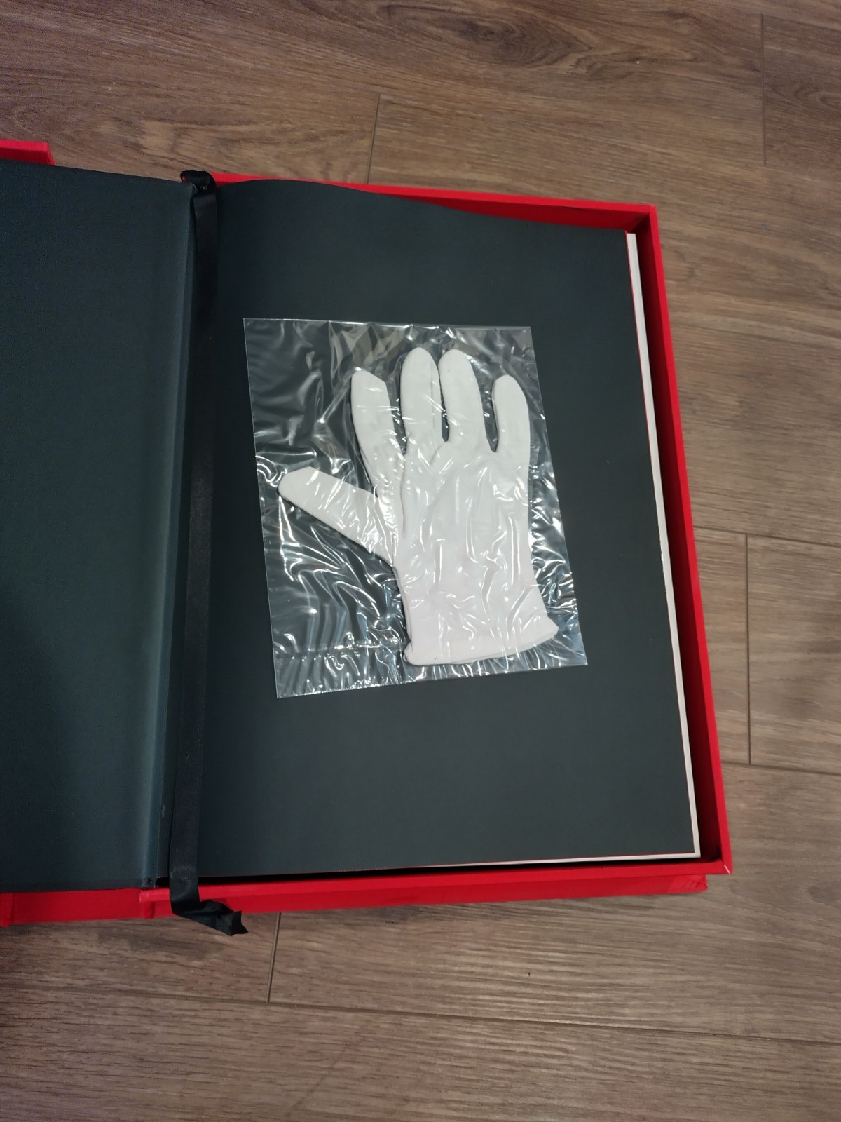 Official MICHAEL JACKSON OPUS Photo Picture Book with Glove Original Outer Box