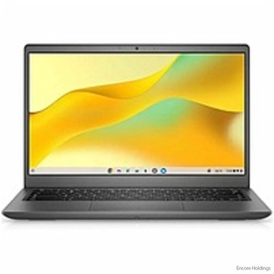 Dell 153KF 14'' Laptop AMD Athlon Silver 7120C 4 GB Ram Twisted nematic Chrome OS