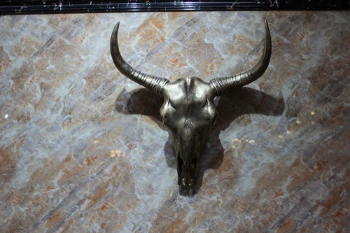 Teschio di bufalo testa di bufalo decorazione da parete corna corna scheletro
