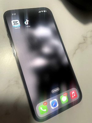 Apple iPhone 13 Pro Max 256 GB Verizon Tik Tok & Capcut Installed 9/10 Condition