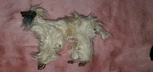 Vintage Barbie 'Beauty' Afghan Hound Dog Puppy by Mattel 7"×5" 1979