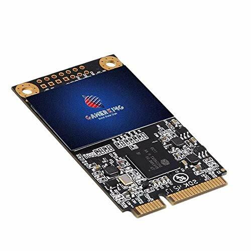 GamerKing MSATA SSD 256GB Interno Allo Stato Solido Drive Desktop (g2Z)