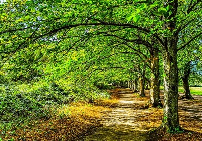 Wandbild ''Autumn is coming'' Natur Landschaft Swindon UK A4 Druck