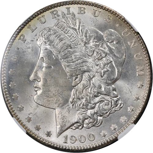 1900-P Morgan Silver Dollar NGC MS64 VAM 24 DDR Arrows Blast White