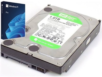 Western Digital 1TB 3GB/s 3,5'' Festplatte + Windows 11 Pro ohne TPM & Secure Boot