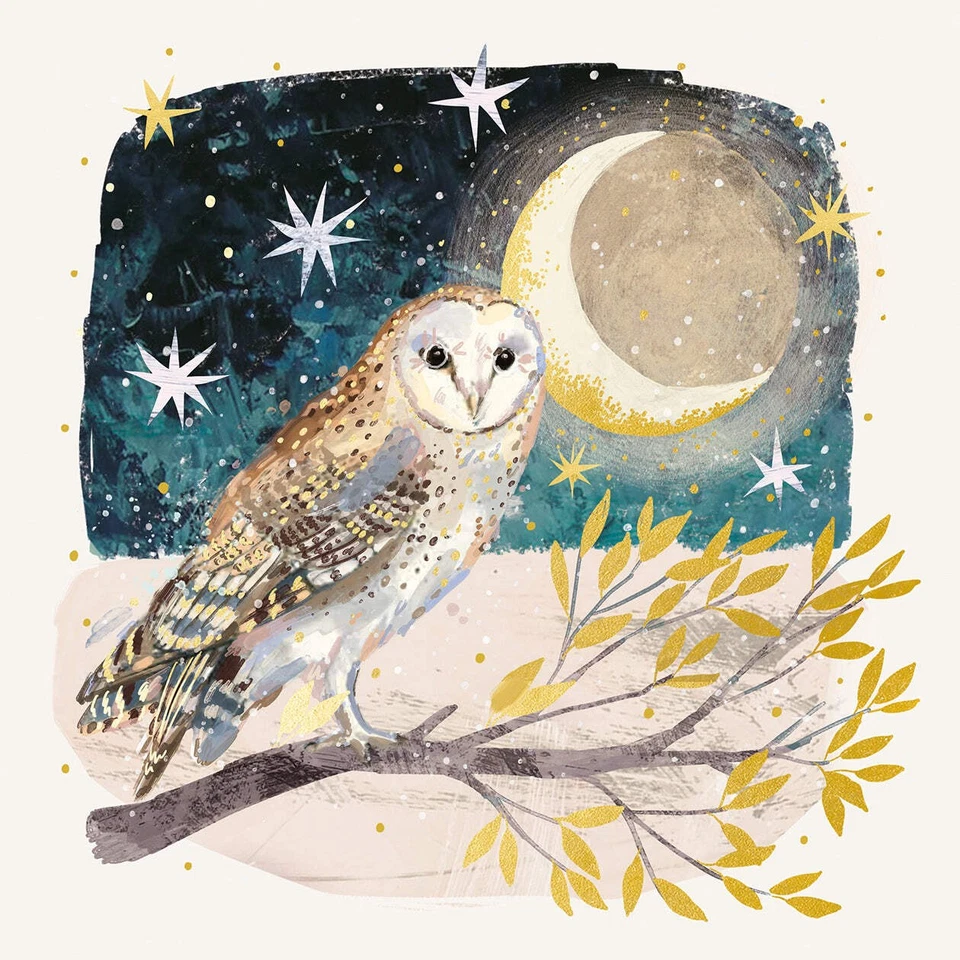 ST ANN'S HOSPICE ONLINE SHOP 'Moonlit Owl' Pack of 10 Charity Christmas Greetings Cards