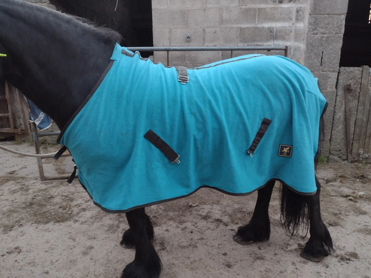 Derby House in Horse Rugs & Sheets for sale | eBay UK