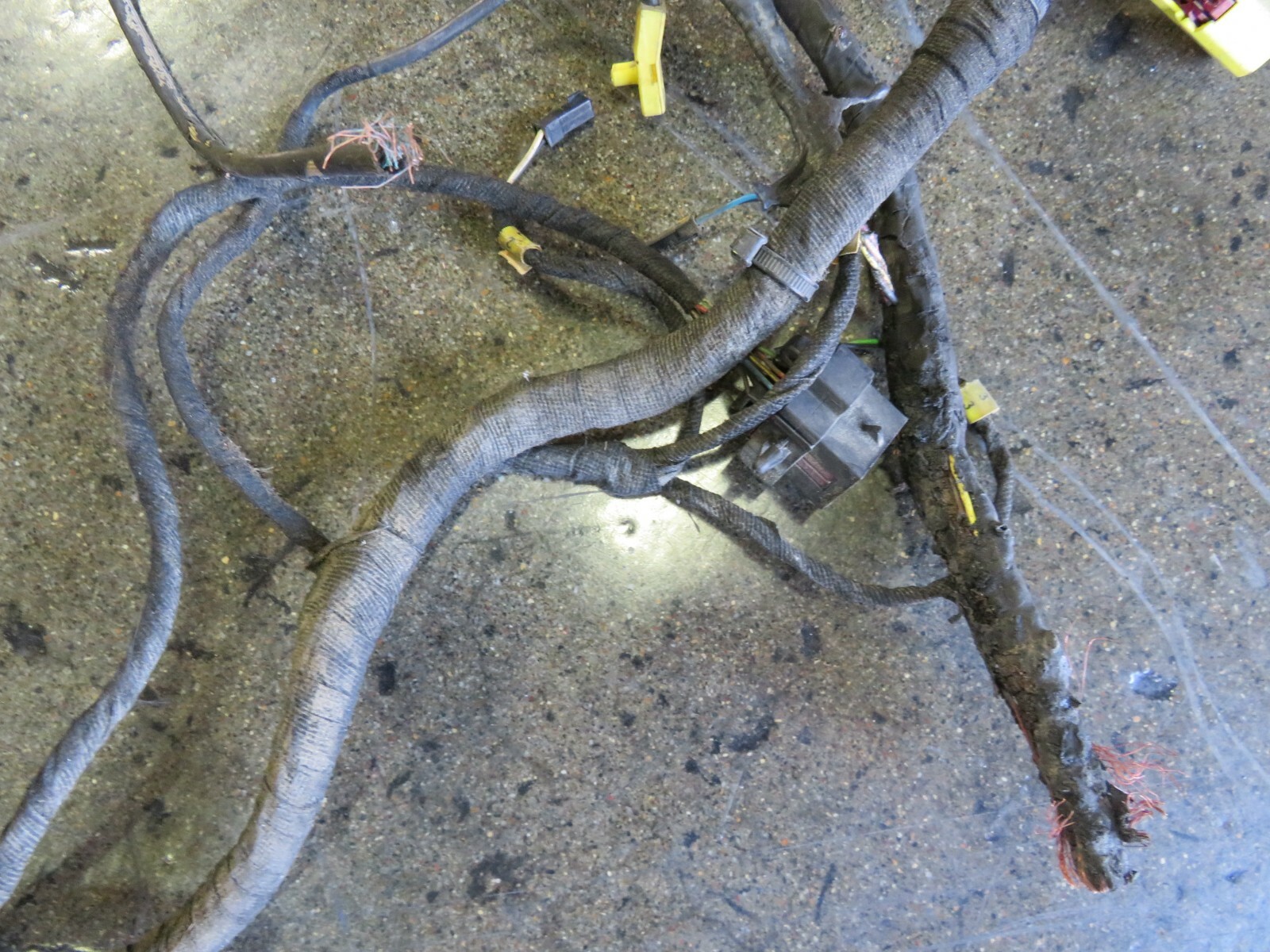 Lamborghini Gallardo LP 550 Spyder, Main Body Wire Harness, Used, P/N 404971140S