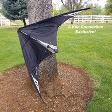 Prism Nexus 2.0 RTF - Surf City Special -Phantom