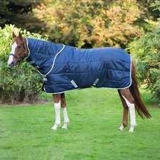 Horseware Ireland Amigo® Insulator Plus Stable w/ Hood (200g Medium)