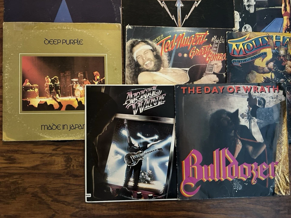 HEAVY METAL ROCK VINYL RECORD LOT W.A.S.P OZZY DIO PRIEST ETC 18 albums .99 NR!! Foto 2 de 4