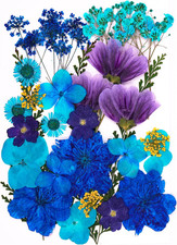 30Pcs Dried Pressed Flowers for Resin DIY Art Crafts Natural Dry Leaves Daisy Ep