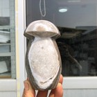 12.3LB Natural Ocean stone mushroom Quartz Crystal  specimen Mineral Healing — photo 10