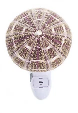 Seashell Night Light Alfonso Sea Urchin Decorative Beach Decor 5" Light Sensor