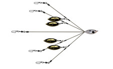 A-Rig School-E-Rig Bait Ball ORIGINAL