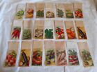 Vintage French Vegetable seed packets 1930s old stock for decoupage scrapbooking