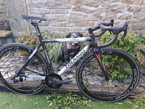 Colnago C59