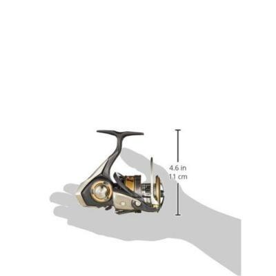Daiwa LEGALIS LT4000D-CXH Spinning Reel | eBay